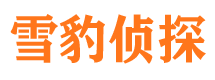 金城江外遇出轨调查取证